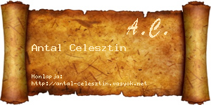 Antal Celesztin névjegykártya